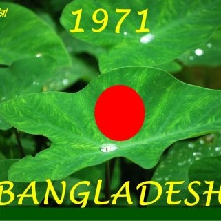 Shakhawat Chowdhury Photo 10