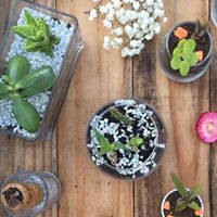 Sandra Otero Photo 21