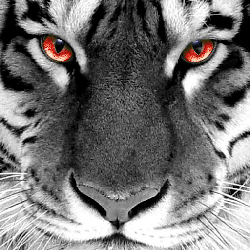 John Arriola Photo 22