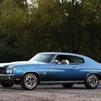 Steven Whitlock Photo 11