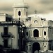 Teresa Campanile Photo 7