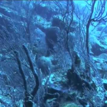 Beth Schrader Photo 10