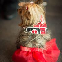 Cheri Simon Photo 13