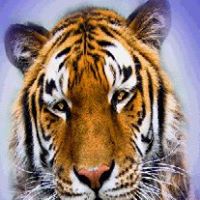 Miguel Otero Photo 30 Miguel Otero Photo 30