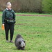 Sandra Ferguson Photo 6