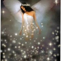 Freddie Wilkinson Photo 20 Freddie Wilkinson Photo 20