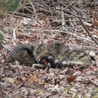 Tara Reinhart Photo 8