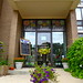Anne Strong Photo 26