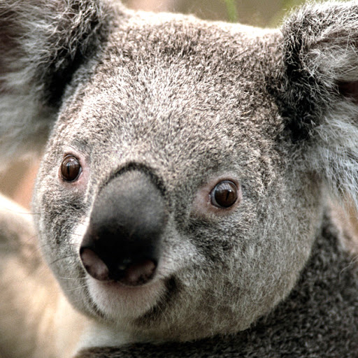 Robin Partin Photo 13