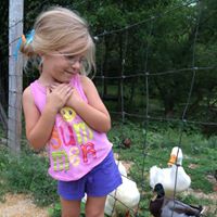 Sheila Busch Photo 14