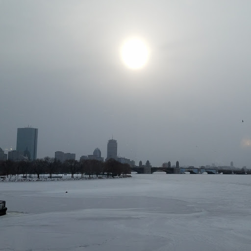 Seth Rosenthal Photo 23