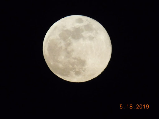 Stacy Pitts Photo 23