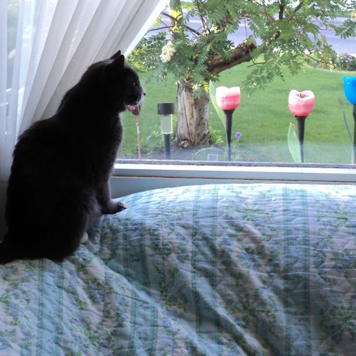 Ruth Solomon Photo 32 Ruth Solomon Photo 32