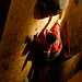 Jerome Meyer Photo 9