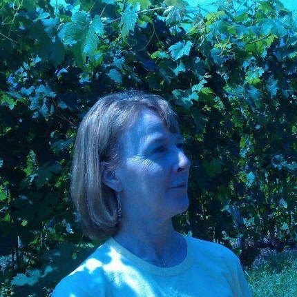 Susan Hughes Photo 41