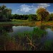 Lonnie Woods Photo 15