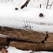 Nell Robertson Photo 15