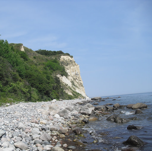 Janet Becker Photo 29