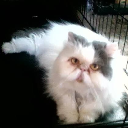 Shelley Hudson Photo 29