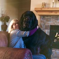 Candace Moyer Photo 6