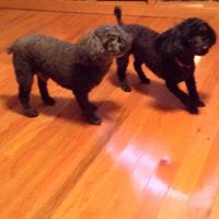 Susan Blair Photo 11