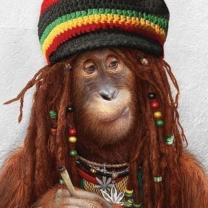 Brendan Brown Photo 24 Brendan Brown Photo 24