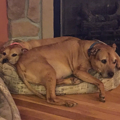 Janice Simmons Photo 7