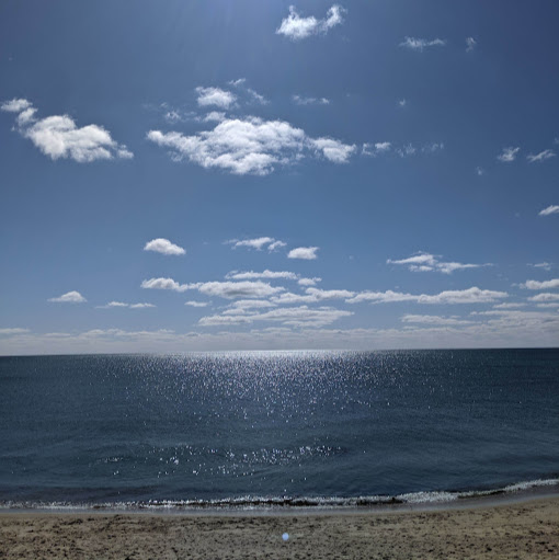 Sean Reardon Photo 15