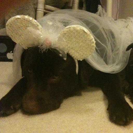 Kristen Rodgers Photo 15