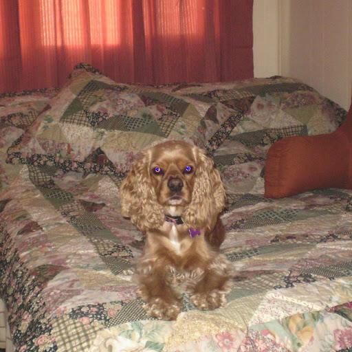 Betty Long Photo 11