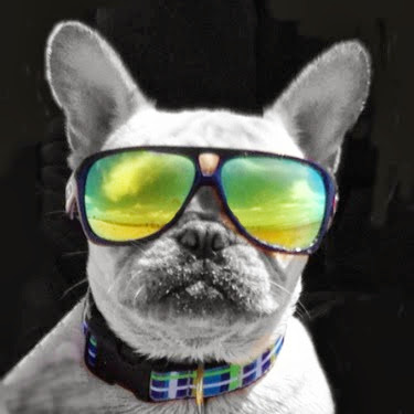 Anthony Dasilva Photo 19