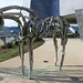 Deborah Hunter Photo 23