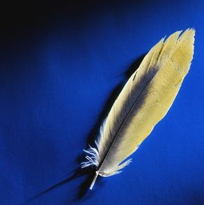 Ed Thompson Photo 35