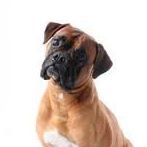 Jenny Childs Photo 23