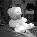 Teddy Weiss Photo 17