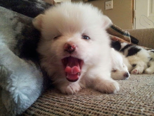 Kathi Stephens Photo 5