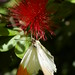 Kathy Key Photo 21