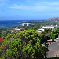 Gayle Osborne Photo 4