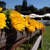 Bonita Brown Photo 17