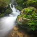 Theodore Brooks Photo 15