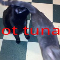 Patrick Walther Photo 9