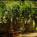 In Song Photo 4