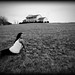 Christine Huff Photo 15