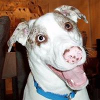 Cindy Rosenthal Photo 16 Cindy Rosenthal Photo 16