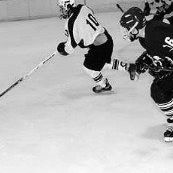 Anthony Dimatteo Photo 10