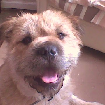 Kenneth Bennett Photo 15