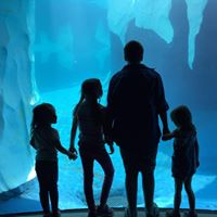 Jennifer Rowden Photo 22