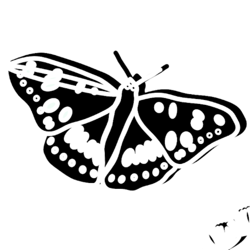 Kevin Estep Photo 28