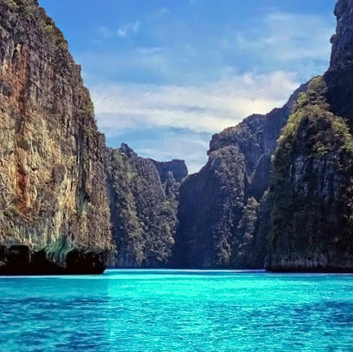 Sophia Cheng Photo 20