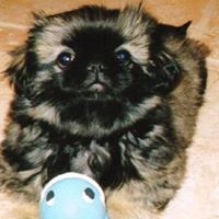 Cathy Jamison Photo 7